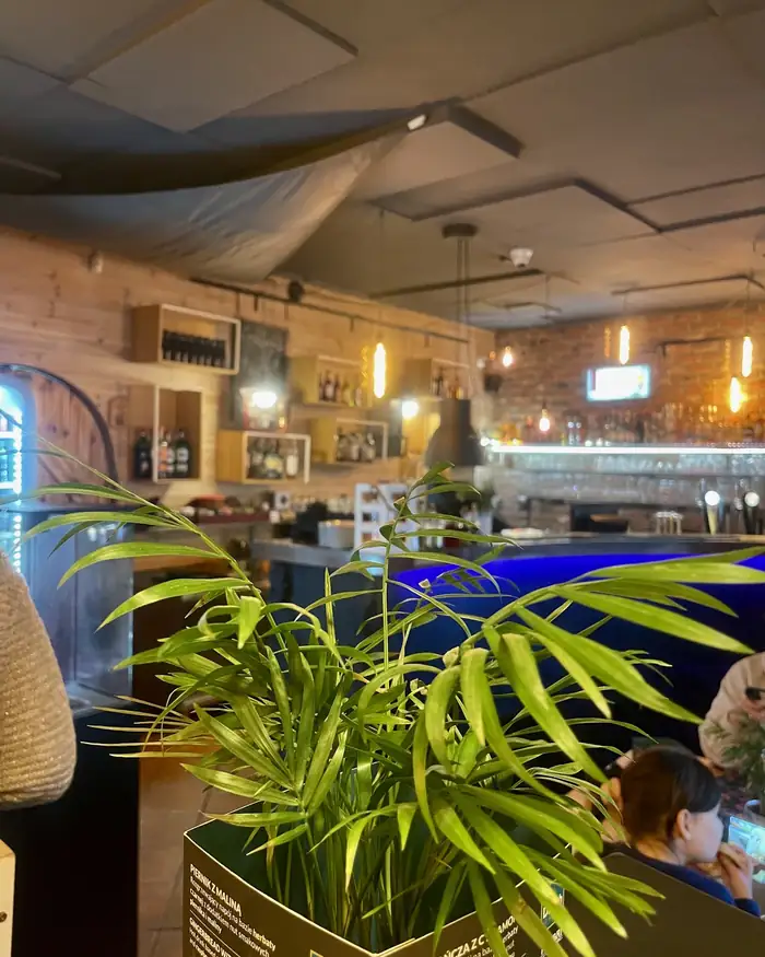 Sala z palmą w donicy i widokiem na bar